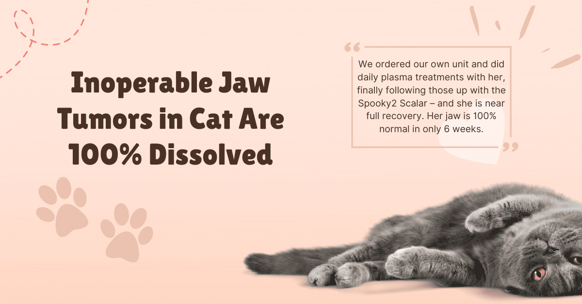 testimonial-inoperable-jaw-tumors-in-cat-are-100-dissolved